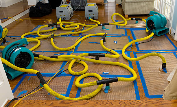 Professional Sewage Cleanup technician working in Colton, OR